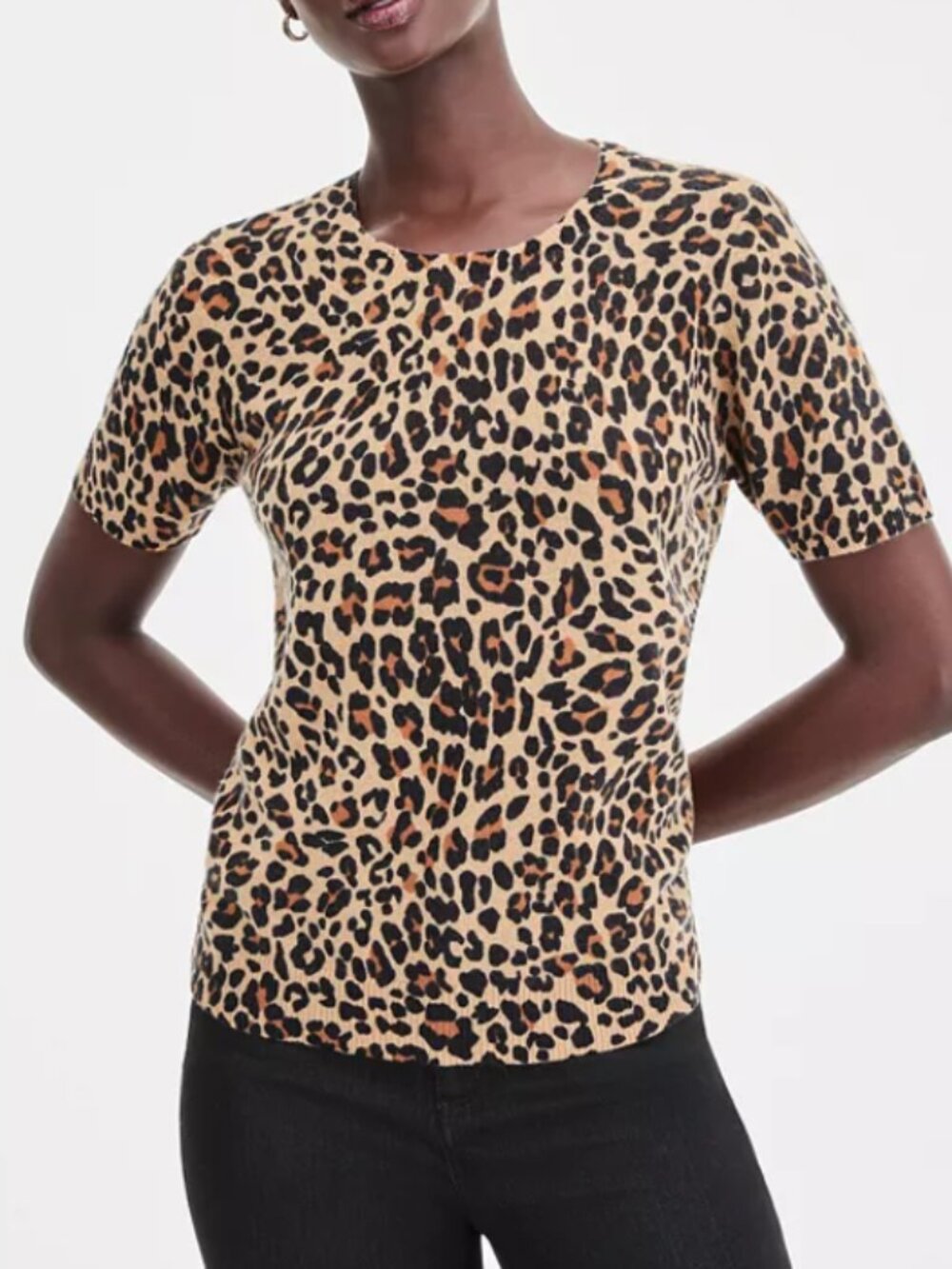 Charter Club Women's 100% Cashmere Leopard-Print Short-Sleeve Sweater Size S